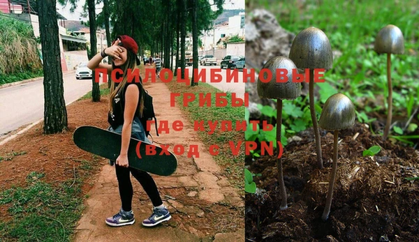 ешки Баксан