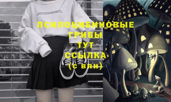 ешки Балахна